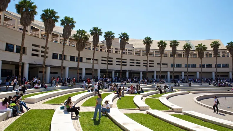 alicante university