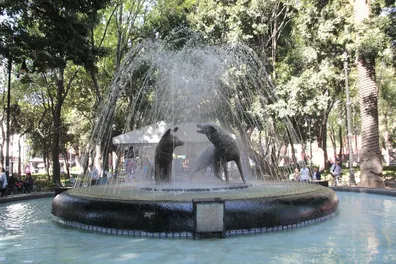 coyoacan