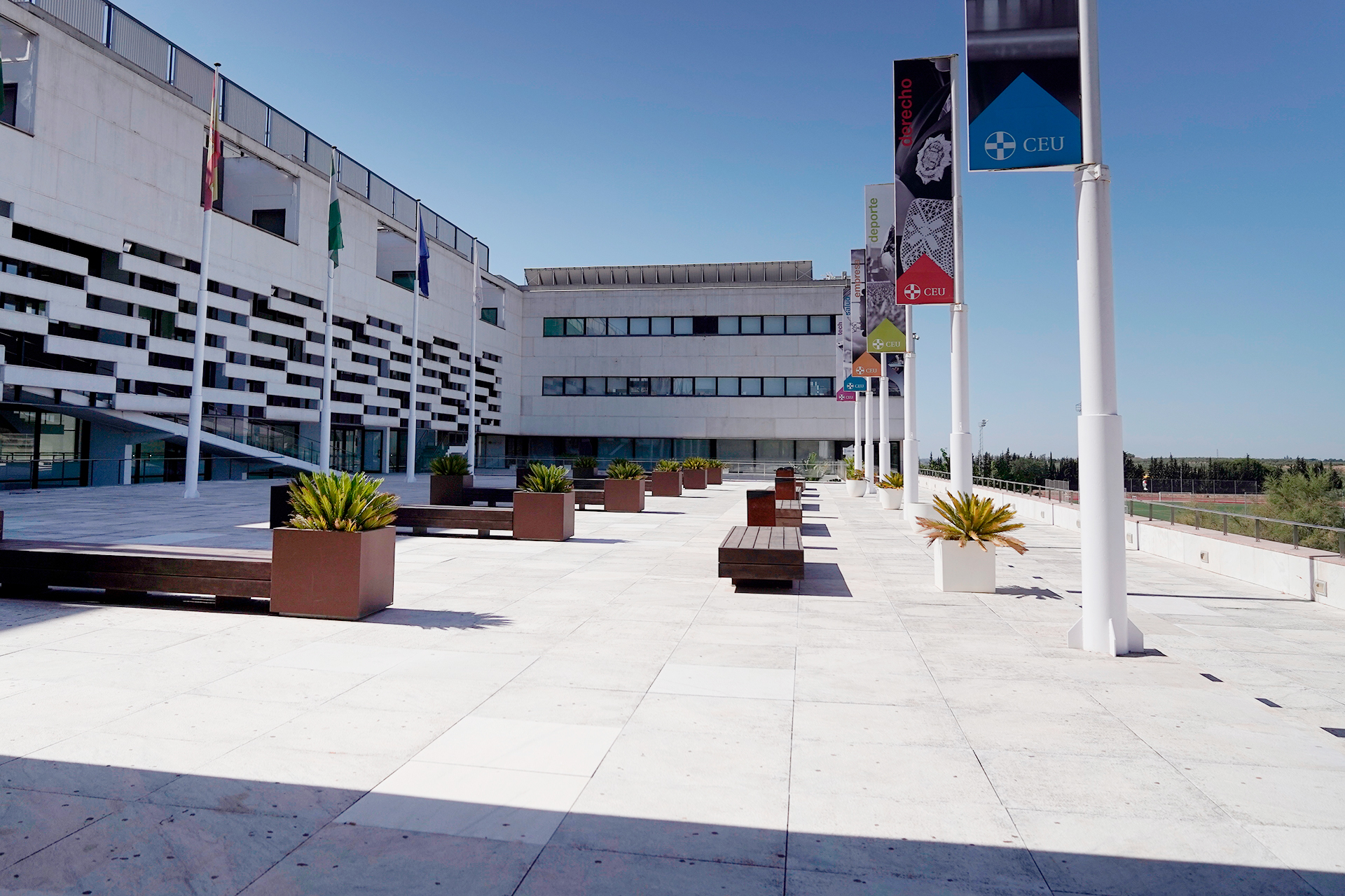 Facultad de Derecho