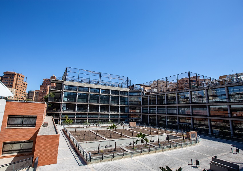 Facultad de Fisioterapia