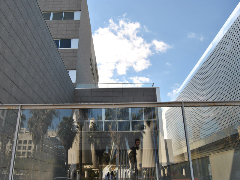 Ciencias de la Actividad Física y del Deporte