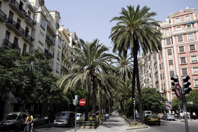 property neighborhood