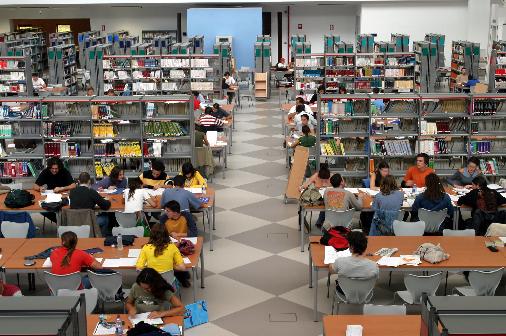 Ambiente joven y dinámico