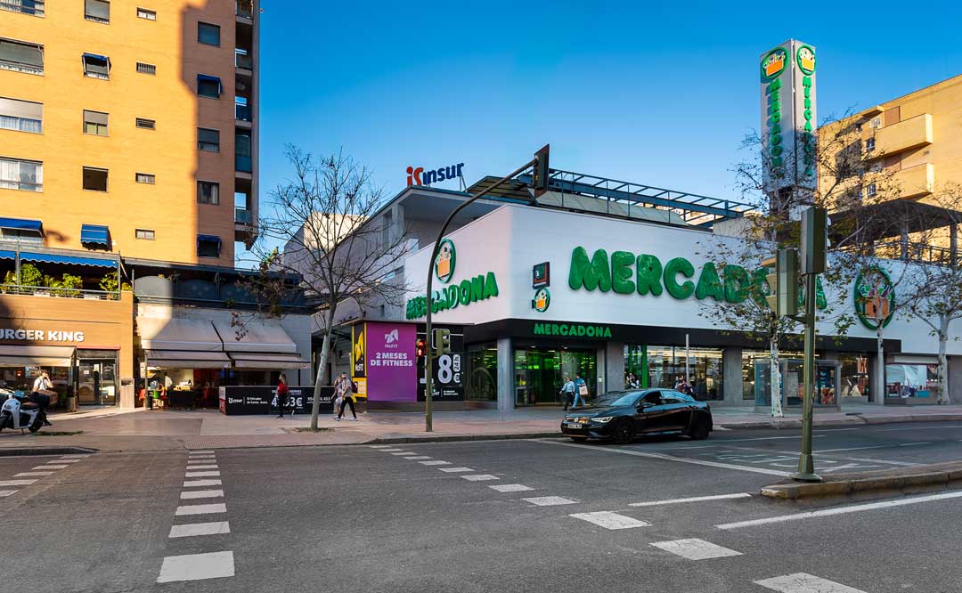 Zona comercial desarrollada