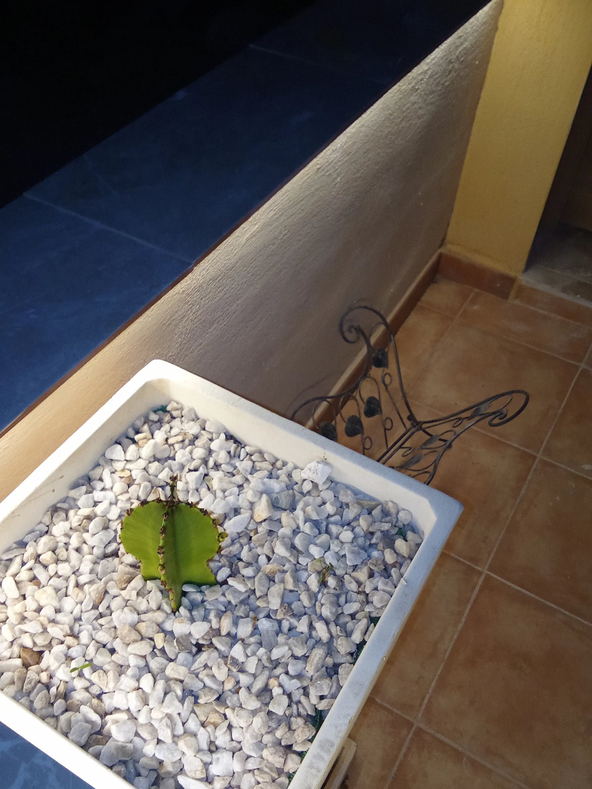 Imagen piso