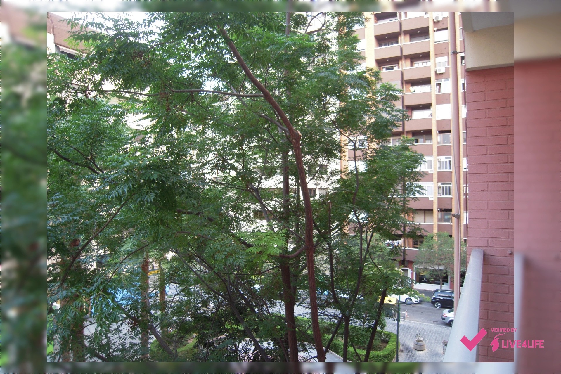 Imagen piso