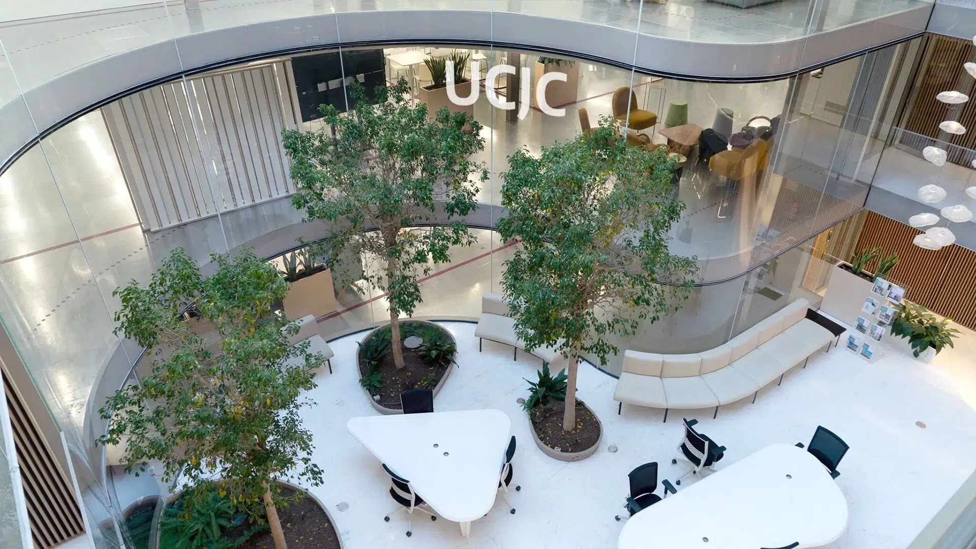 Vista de Universidad Camilo Jose Celá (UCJC)