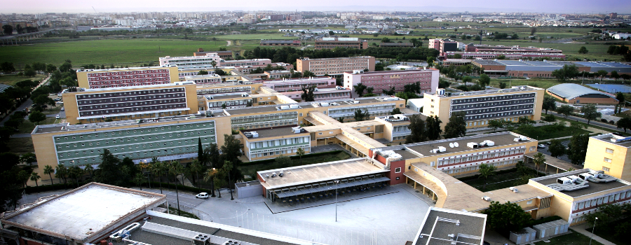Universidad Pablo de Olavide (UPO)